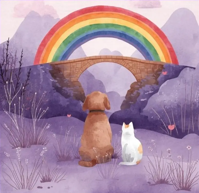 A comforting image representing pet loss and grief
