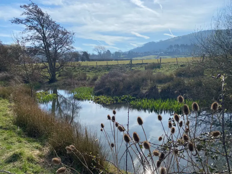 River in nature, reflecting Caroline's love of the outdoors
